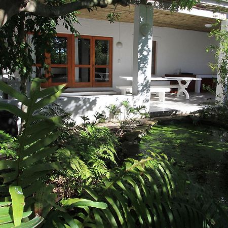 Haven Of Peace And Garden Cottage Hermanus Exteriér fotografie