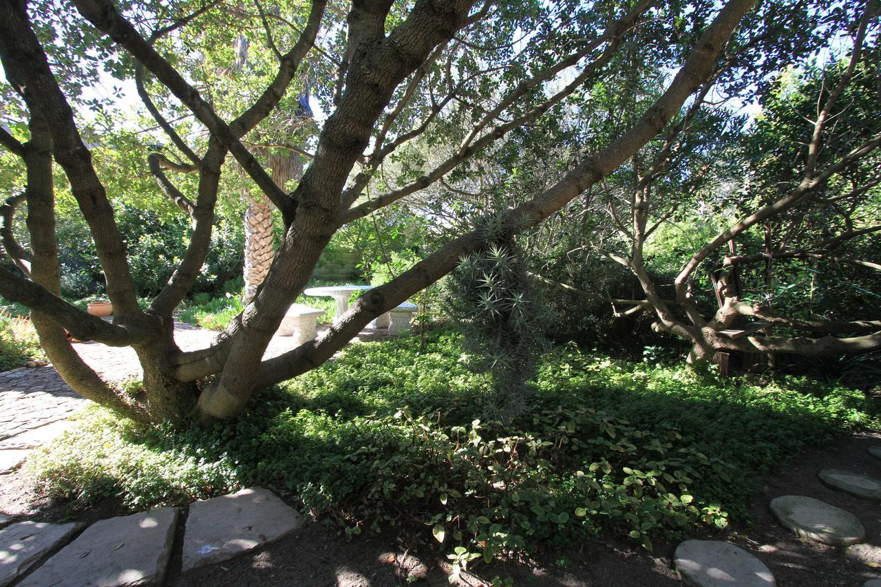 Haven Of Peace And Garden Cottage Hermanus Exteriér fotografie